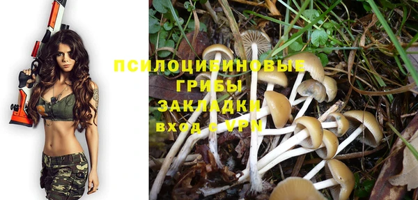 шишки Алексин