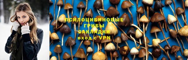 гашик Абинск