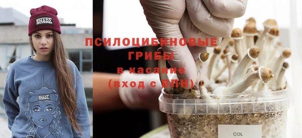 гашик Абинск